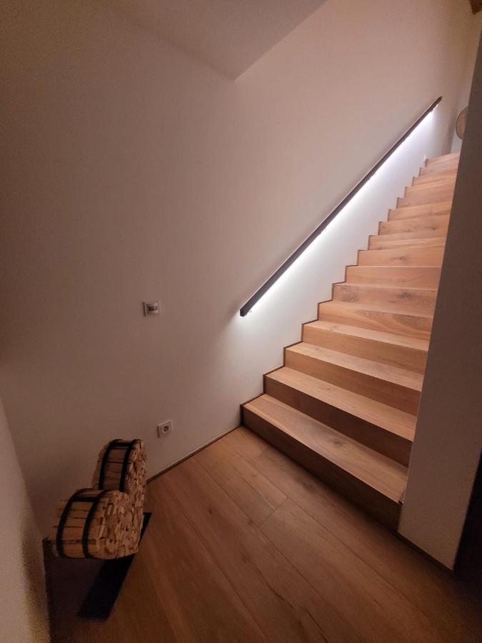 Apartament Haus Moosbrugger Mellau Zewnętrze zdjęcie